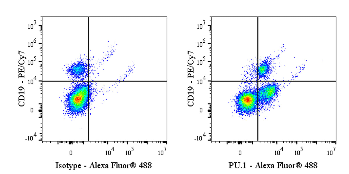 Mouse Anti-Human PU.1 Antibody (S-4307)