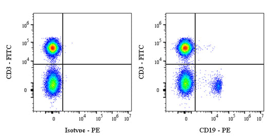 PE Mouse Anti-Human CD19 Antibody (4G7)