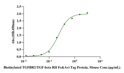 Biotinylated TGFBR2/TGF-beta RII Fc&Avi Tag Protein, Mouse