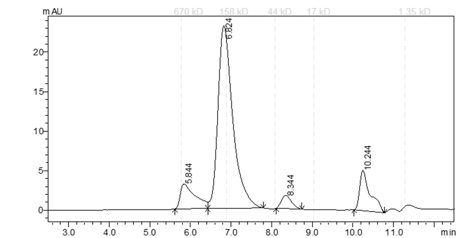 EPHA7 Protein