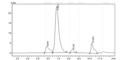 EPHA7 Protein
