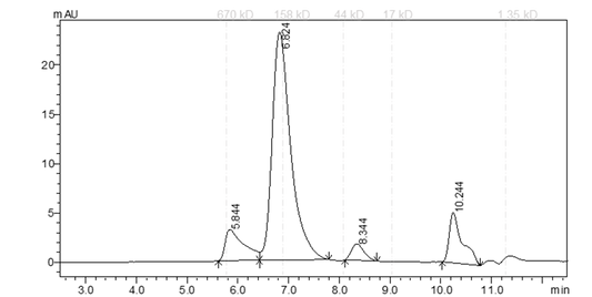 EPHA7 Protein