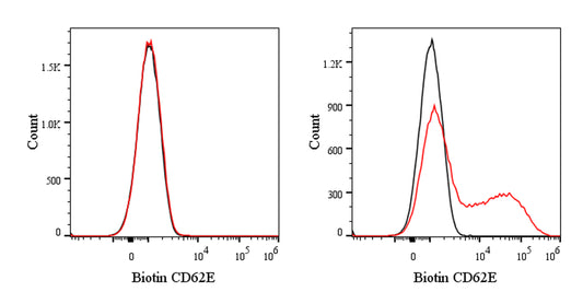 Biotin Mouse Anti-Human CD62E Antibody (S-2909)