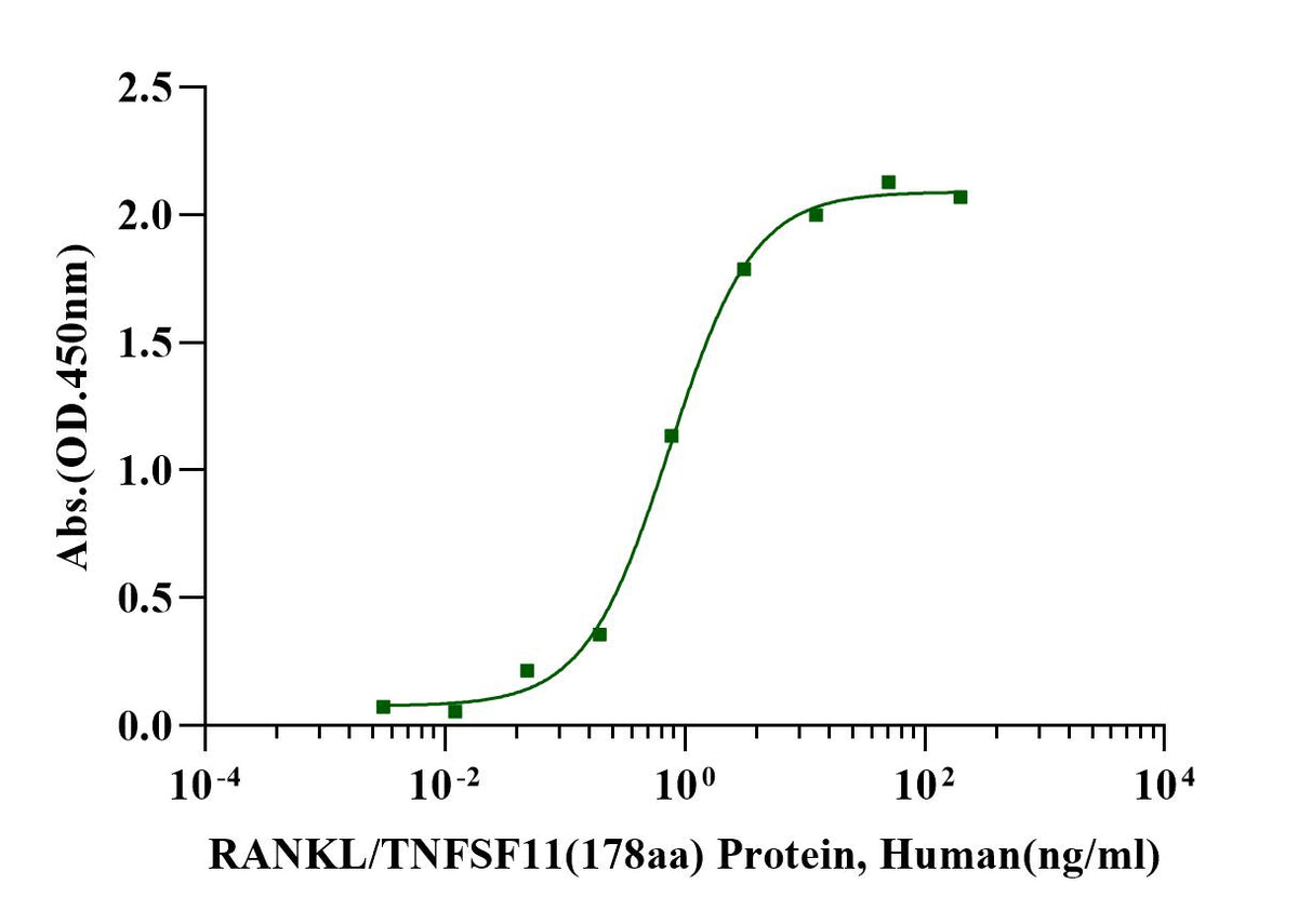 RANK L/TNFSF11(178aa) Protein, Human