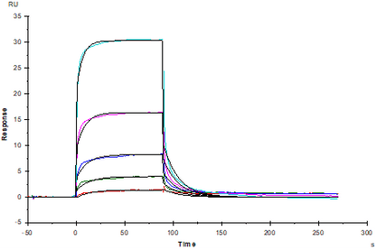 DLL-4 Fc Chimera Protein, Human