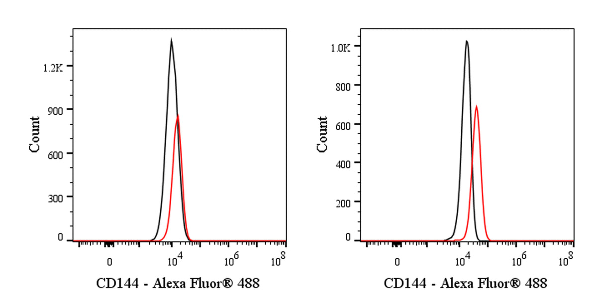 Alexa Fluor® 488 Rat Anti-Mouse CD144 Antibody (S-R719)