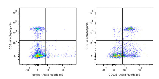 Alexa Fluor® 488 Rat Anti-Mouse CD226 Antibody (S-R625)
