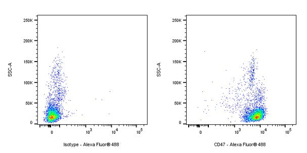 Mouse Anti-Human/Monkey CD47 Antibody (B6H12)