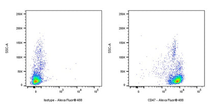Mouse Anti-Human/Monkey CD47 Antibody (B6H12)