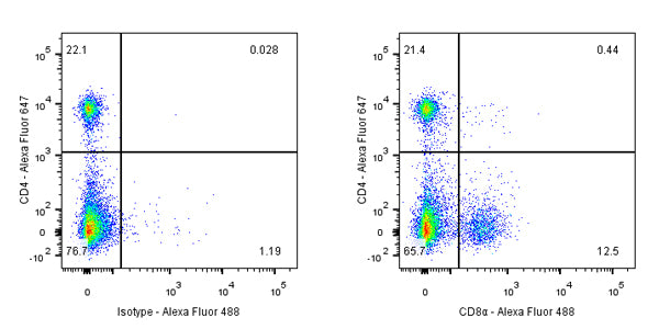 CD8α Recombinant Rabbit mAb (Alexa Fluor® 488 Conjugate) (SDT-142-52)