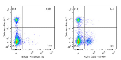 CD8α Recombinant Rabbit mAb (Alexa Fluor® 488 Conjugate) (SDT-142-52)