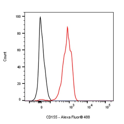 Rat Anti-Mouse CD155 Antibody (TX56)