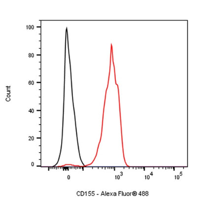 Rat Anti-Mouse CD155 Antibody (TX56)