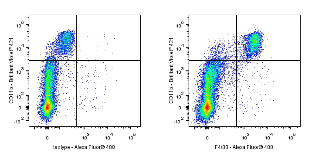 Rat Anti-Mouse F4/80 Antibody (S-R537)