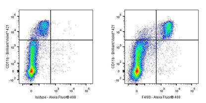 Rat Anti-Mouse F4/80 Antibody (S-R537)
