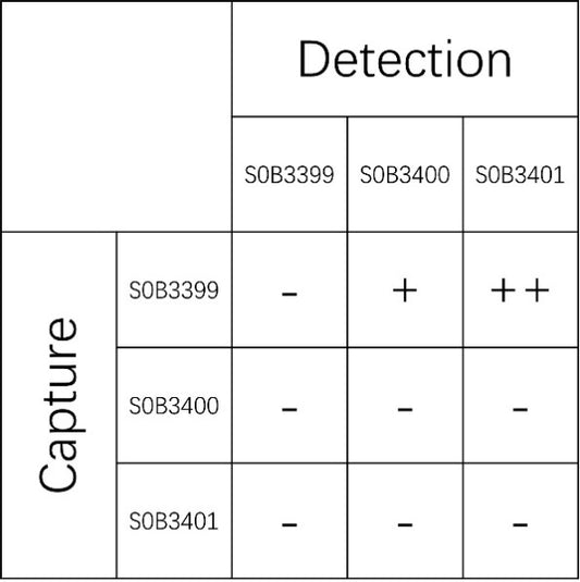 IGF-1 Recombinant Rabbit mAb (SDT-598-309)