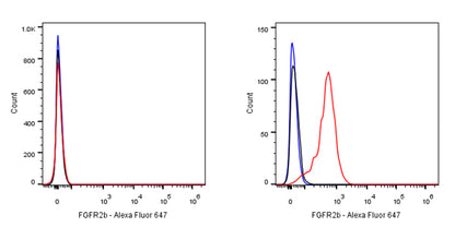 FGFR2b Recombinant Rabbit mAb (SDT-423-18)