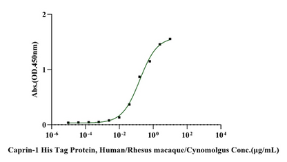 Thrombopoietin R/TPO R His Tag Protein, Mouse