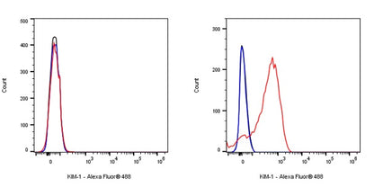 KIM-1 Recombinant Rabbit mAb (S-932-2)