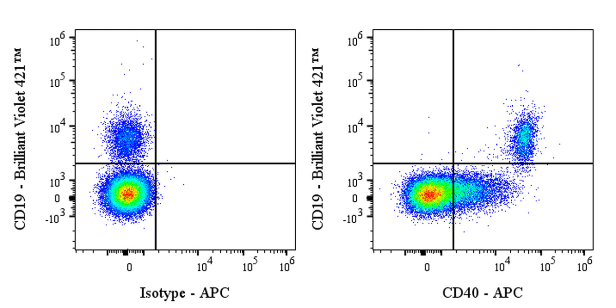 APC Human Anti-Human CD40 Antibody (ABBV-323)