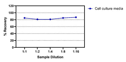 Human IgA OneStep ELISA Kit
