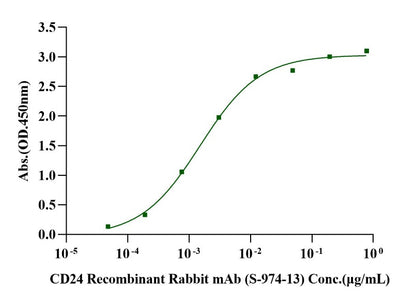 CD24 mFc Chimera Protein, Human