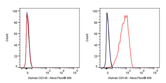 Alexa Fluor® 488 Mouse Anti-Human CD146 Antibody (S-3679)