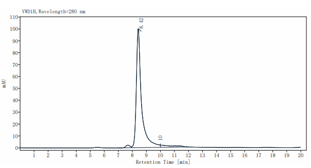 CD27 Ligand His Tag Protein, Cynomolgus