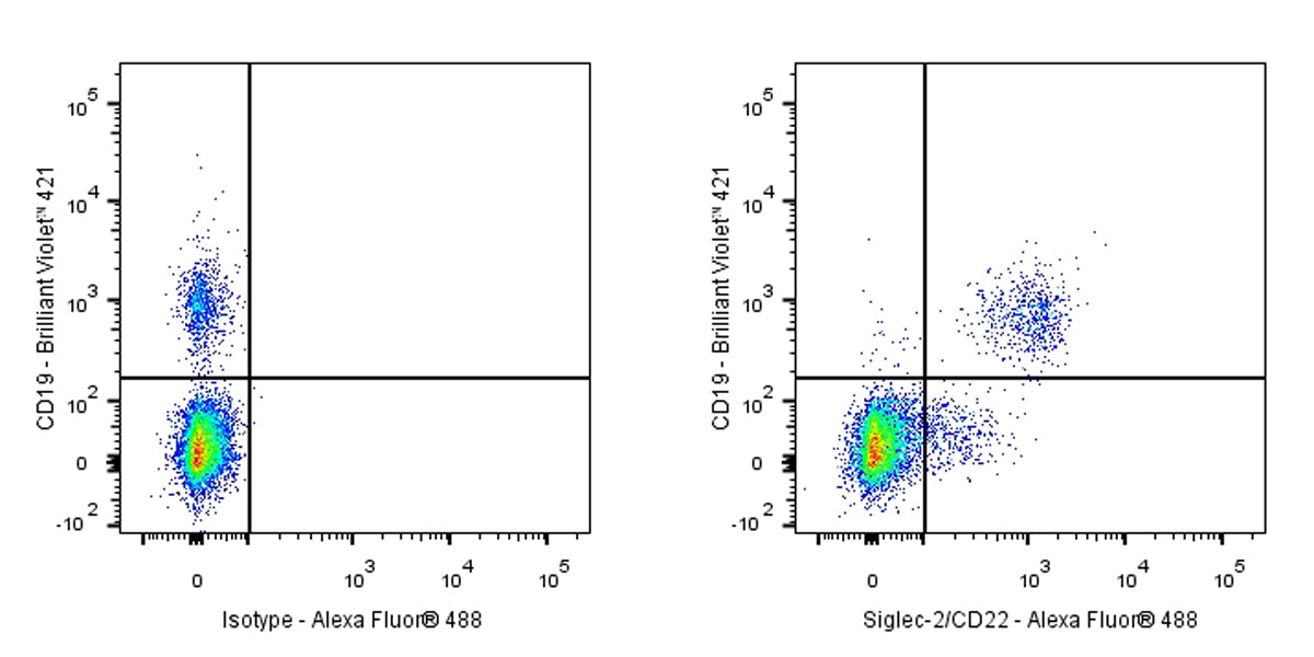 Alexa Fluor® 488 Mouse Anti-Human Siglec-2/CD22 Antibody (S-565-1)
