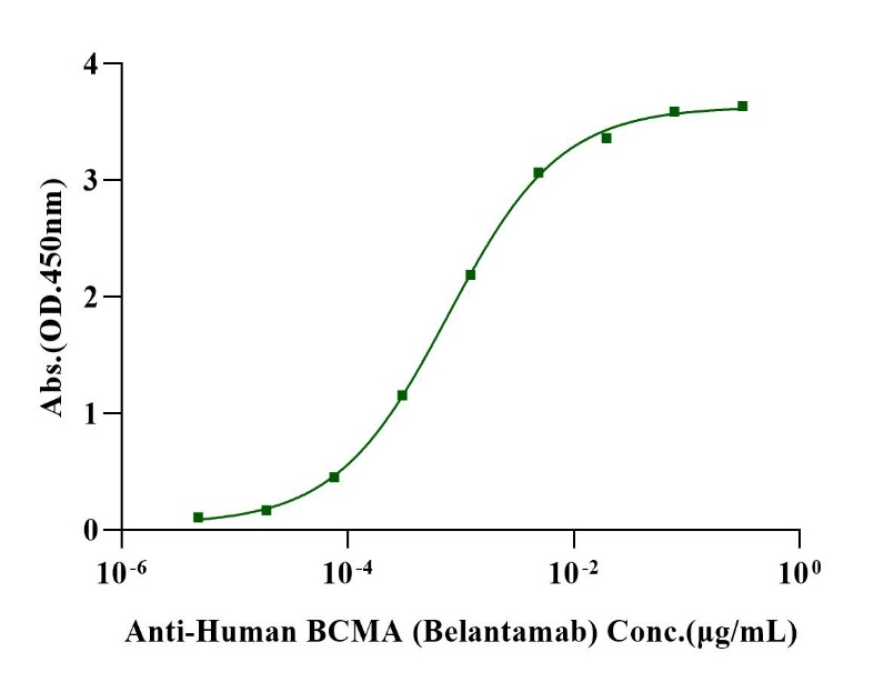 BCMA/TNFRSF17 His Tag Protein, Human