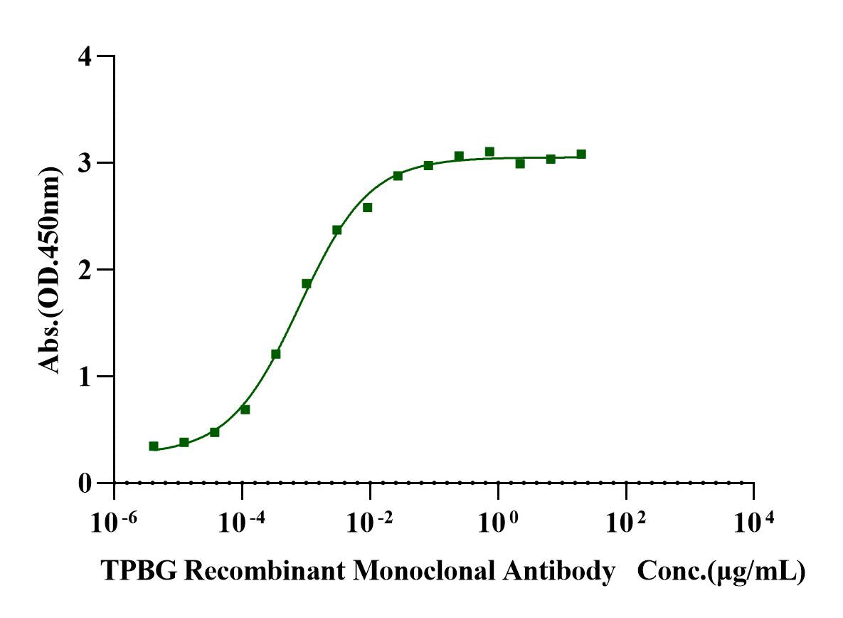 TPBG/5T4 His Tag Protein, Cynomolgus/Rhesus macaque