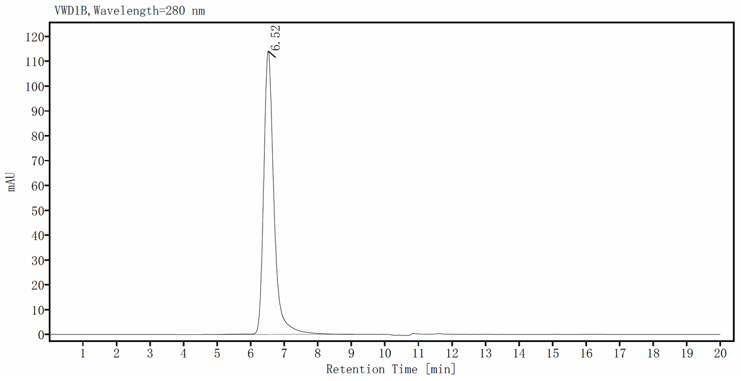 ErbB3/Her3 Fc Chimera Protein, Human