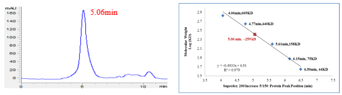 LYNa GST Tag Protein, Human