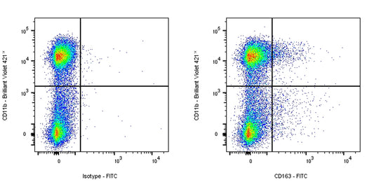 Rat Anti-Mouse CD163 Antibody (S-R608)