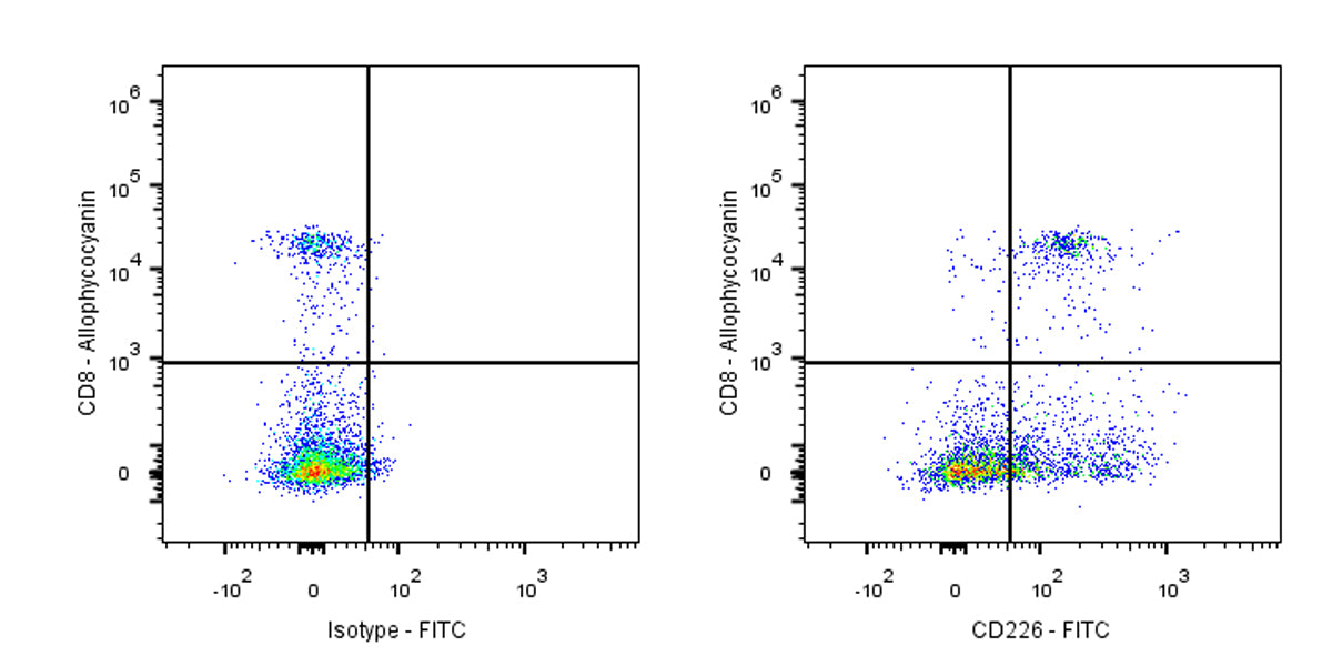 FITC Rat Anti-Mouse CD226 Antibody (S-R625)