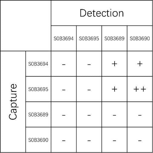 Rat C5a Recombinant mAb (SDT-2892-1)