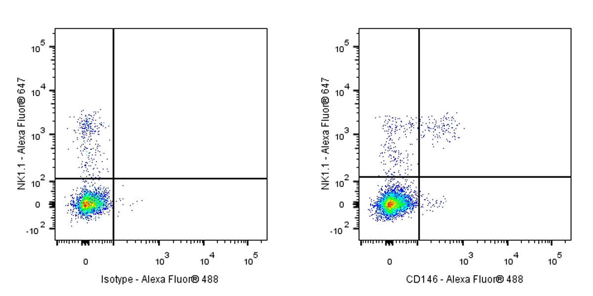 Rat Anti-Mouse CD146 Antibody (S-R606)