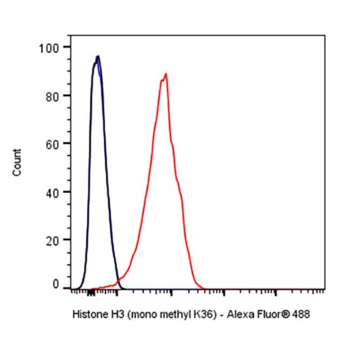 Histone H3 (mono methyl K36) Recombinant Rabbit mAb (S-859-505)