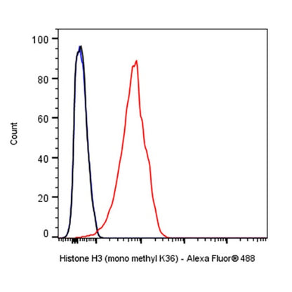Histone H3 (mono methyl K36) Recombinant Rabbit mAb (S-859-505)