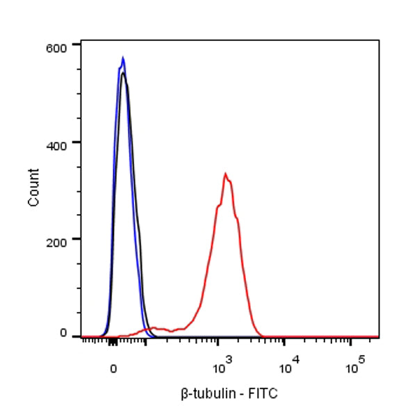 β-tubulin Recombinant Rabbit mAb (FITC Conjugate) (SDT-R014)