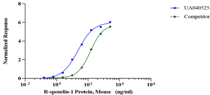 R-spondin-1 Protein, Mouse
