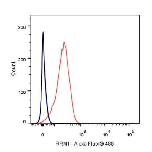 RRM1 Recombinant Rabbit mAb (S-587-21)