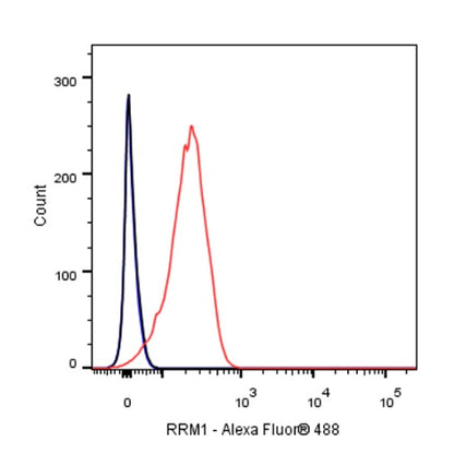 RRM1 Recombinant Rabbit mAb (S-587-21)
