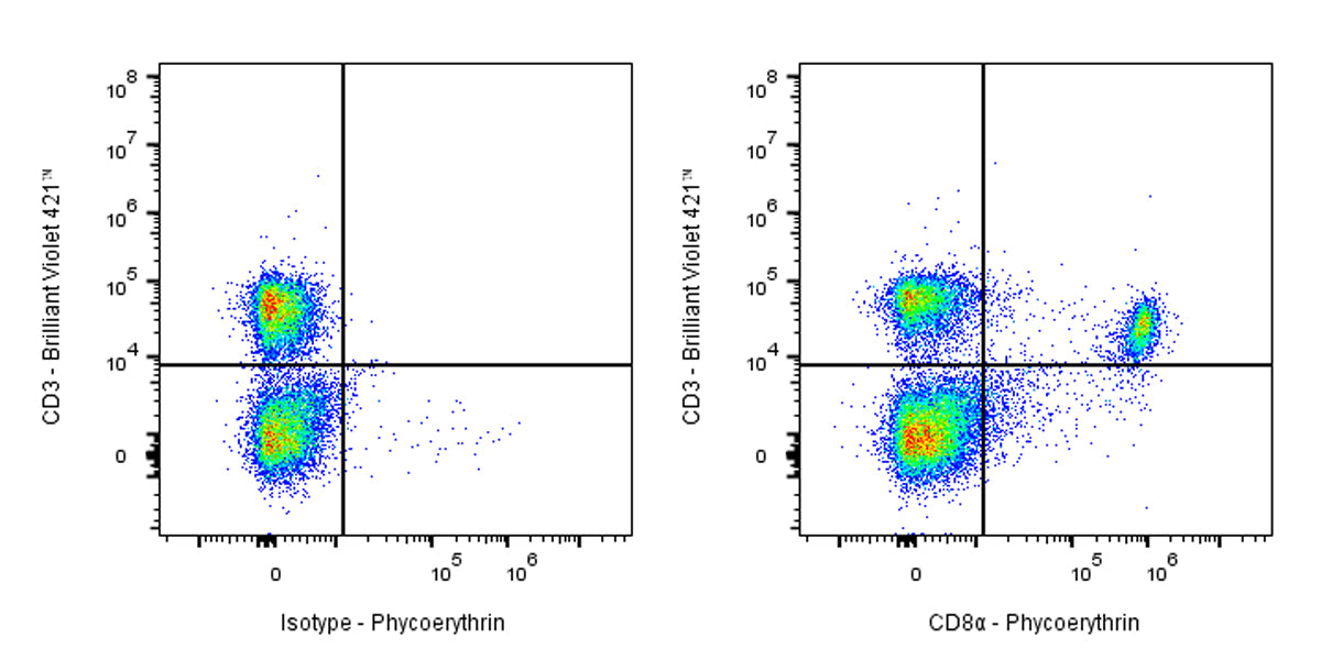 PE Rat Anti-Mouse CD8α Antibody (53-6.7)