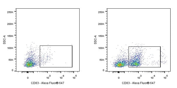 Rat Anti-Mouse CD83 Antibody (S-R522)