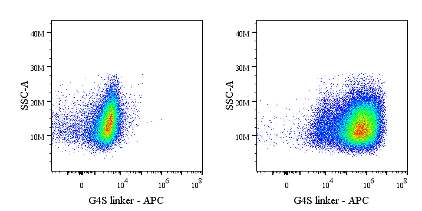G4S Linker Recombinant Rabbit mAb (APC Conjugate) (S-5030)