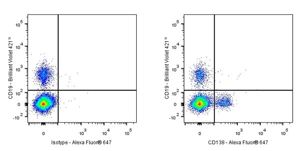 CD138 Recombinant Rabbit mAb (S-417-199)