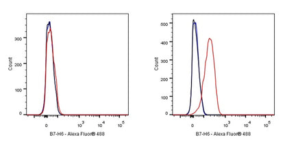 B7-H6 Recombinant Rabbit mAb (S-1044-72)