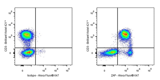 Mouse Anti-Human/Mouse ZAP-70 Antibody (1E7.2)