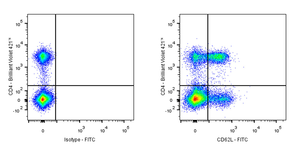 FITC Rat Anti-Mouse CD62L Antibody (MEL-14)
